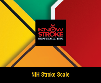 National Institute of Health Stroke Scale (NIHSS)